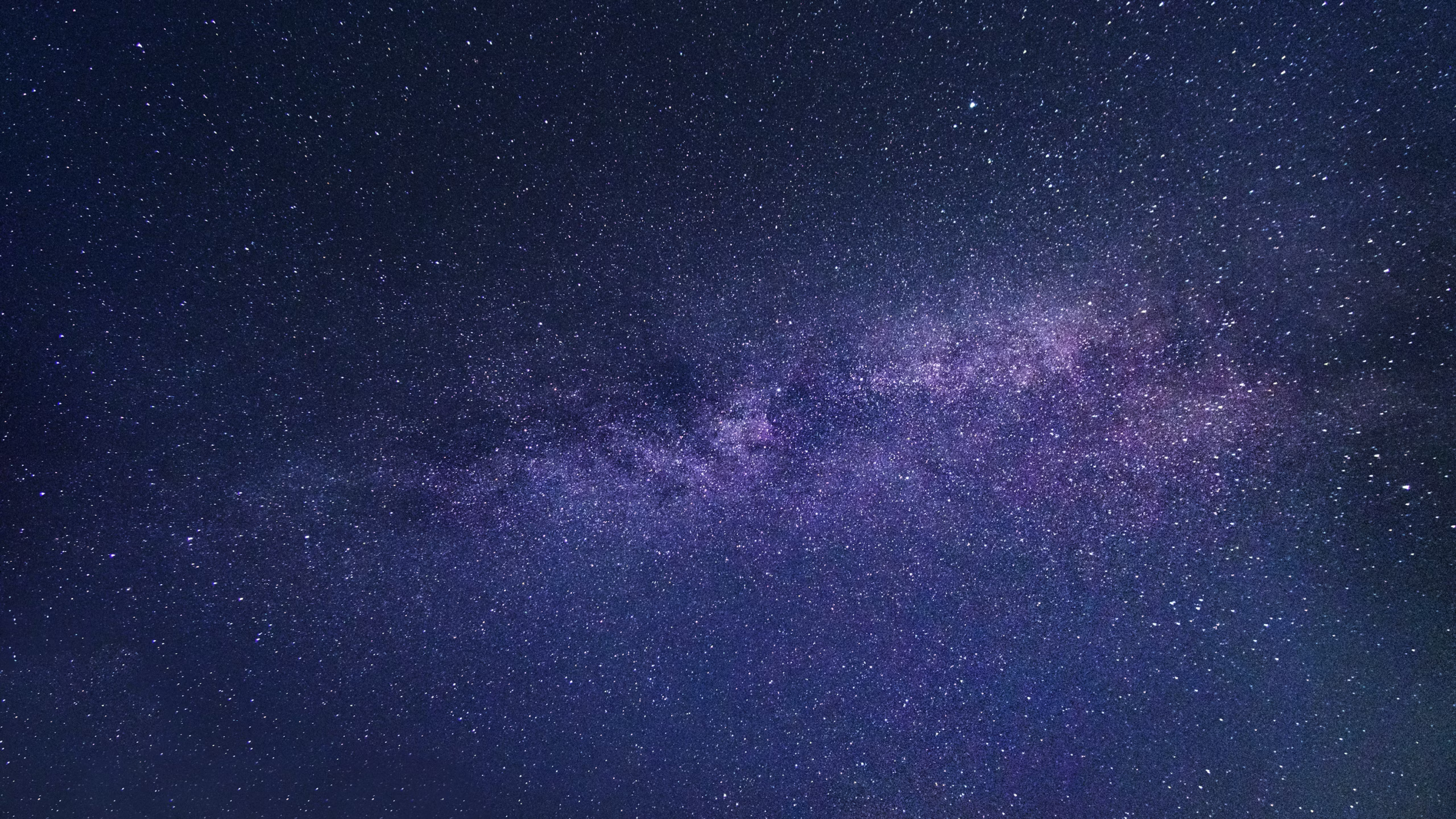 Embroidered Cassandra T-shirt